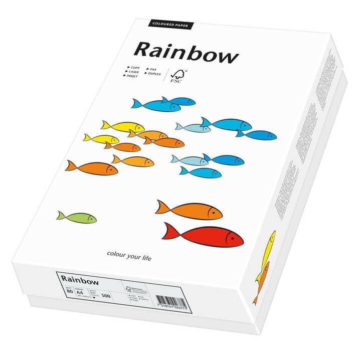 Rainbow Light Grey (colour code 93)